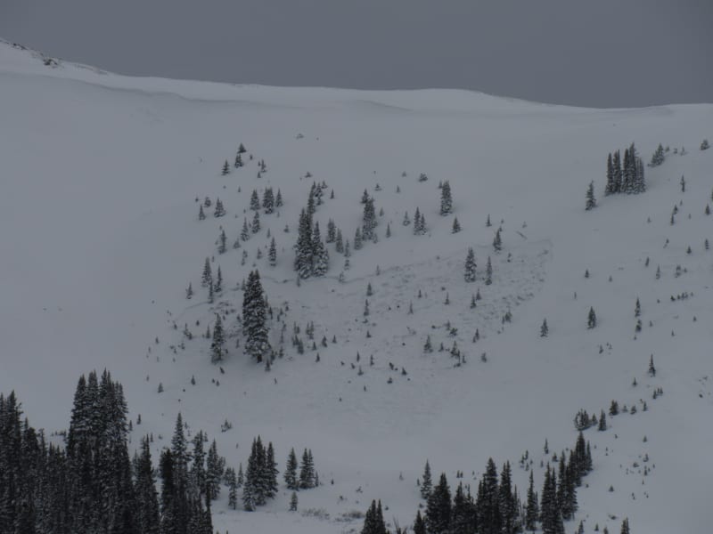 Observation photo 3