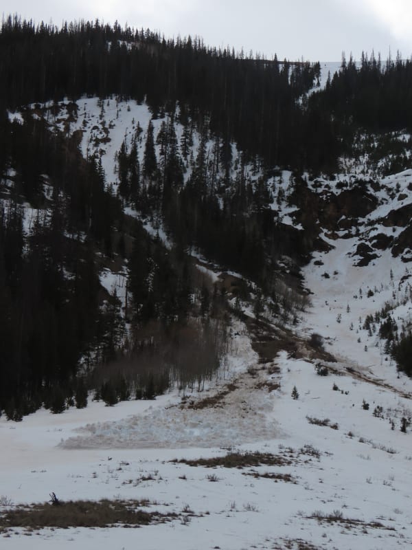Observation photo 6