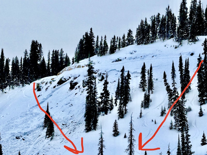 Observation photo 2