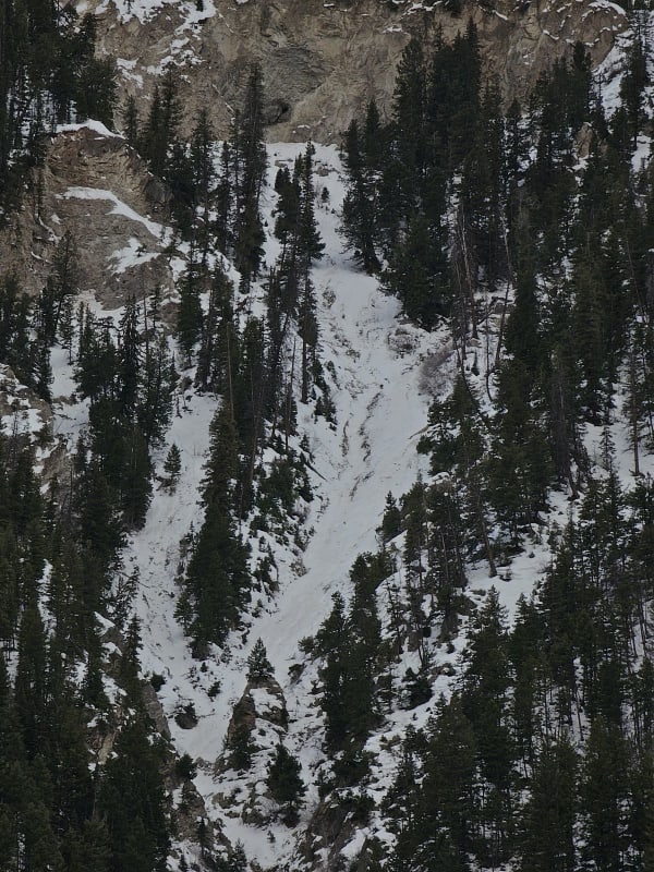 Observation photo 2