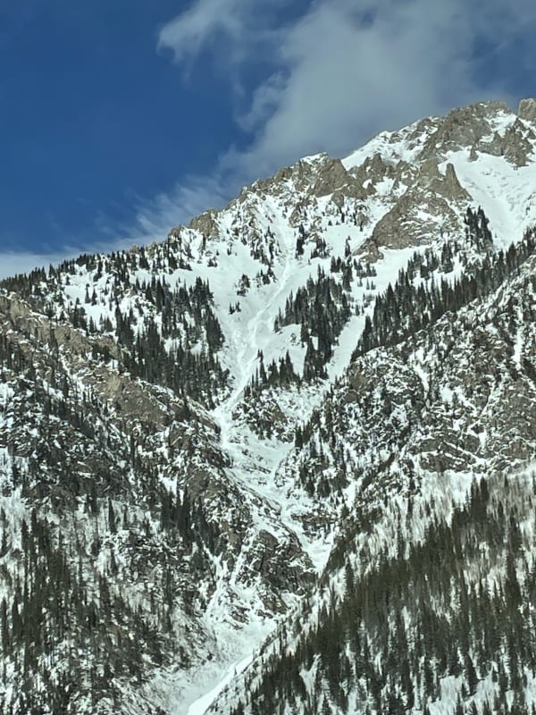 Observation photo 2