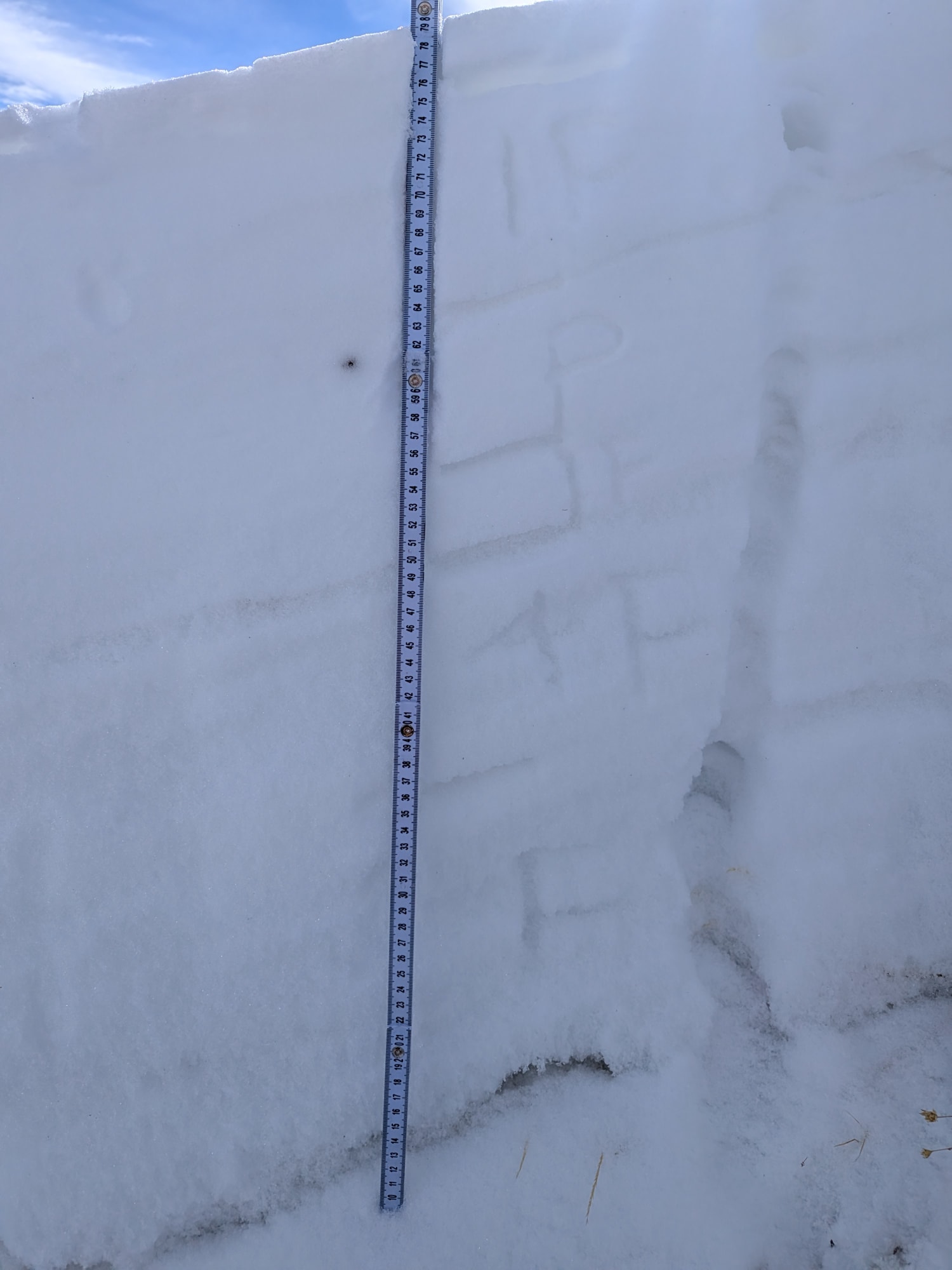 Observation photo