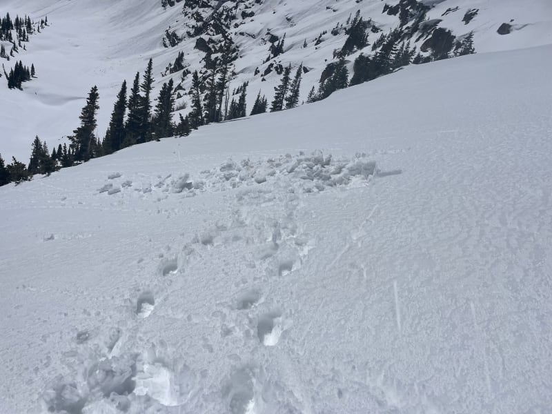 Observation photo 5