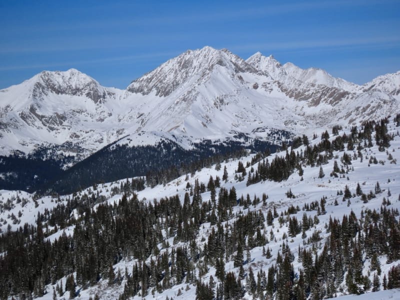 Observation photo 6