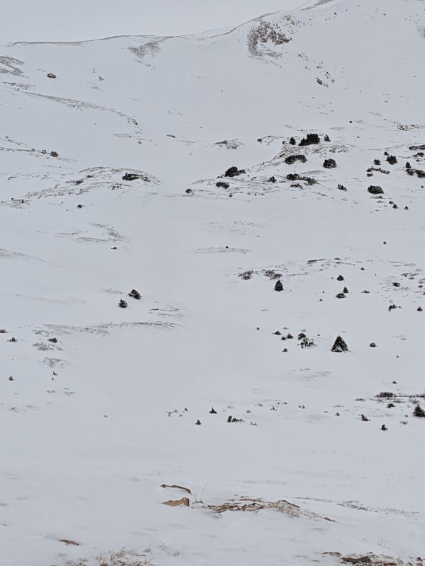 Observation photo 2
