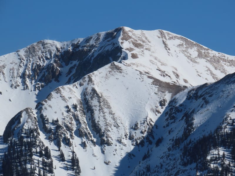Observation photo 4
