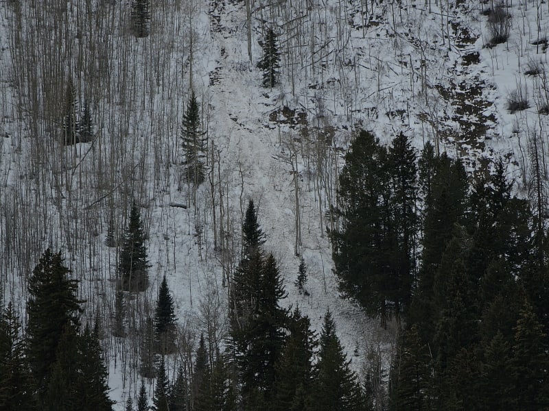 Observation photo 7