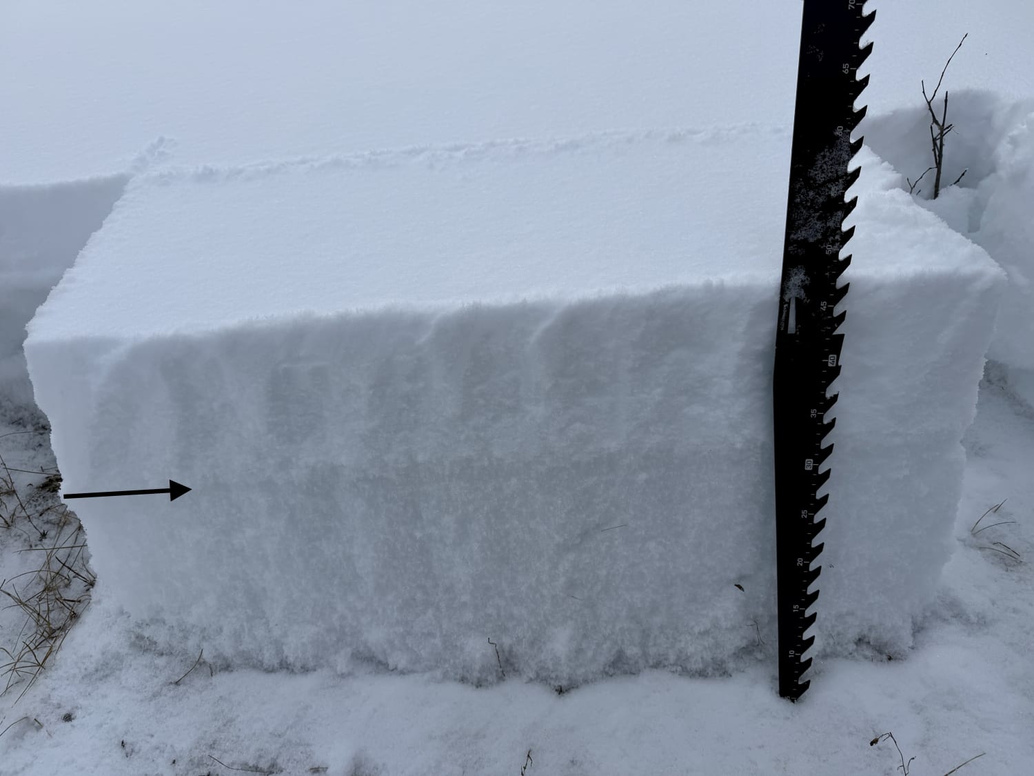 Observation photo