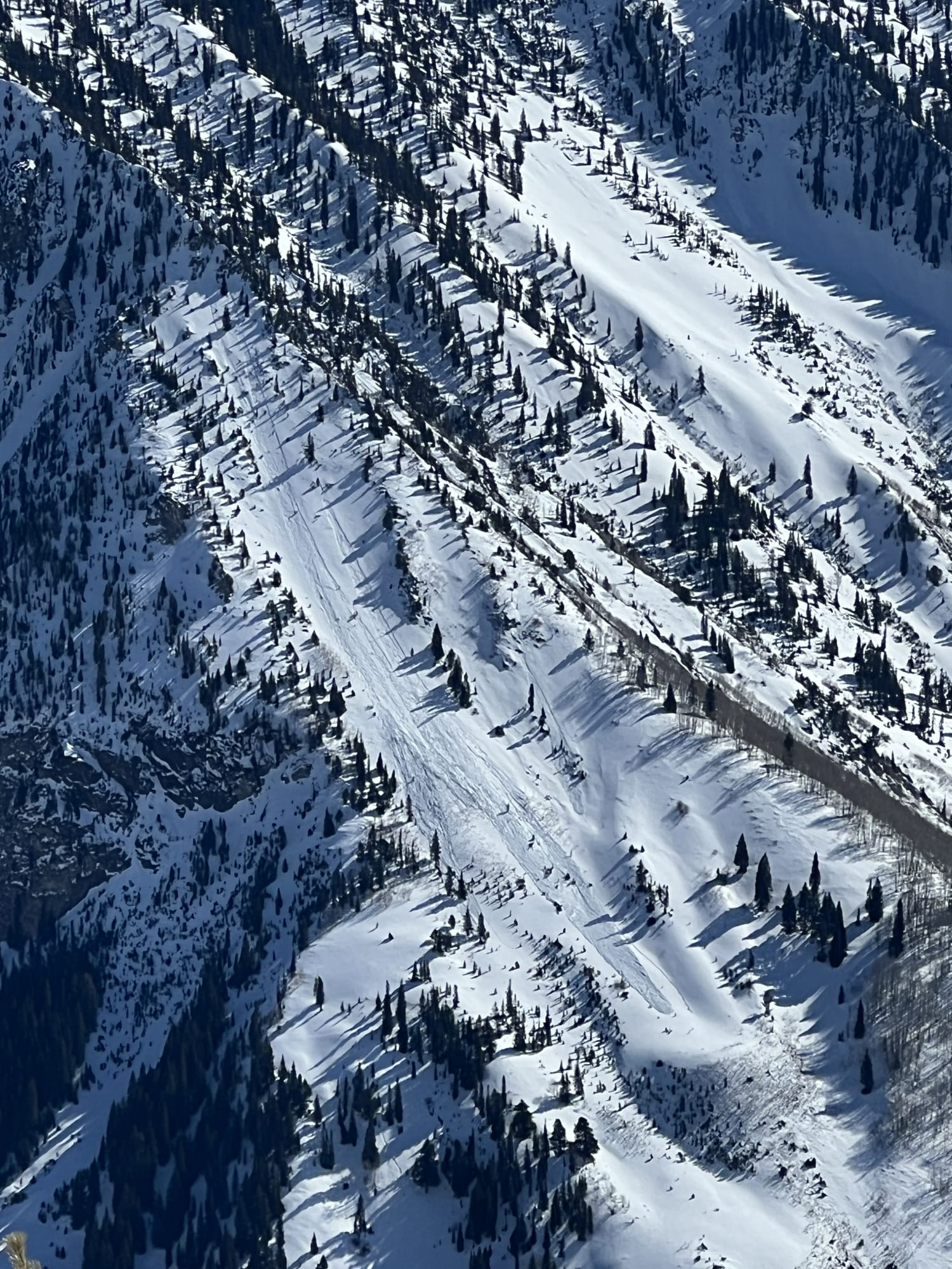 Observation photo