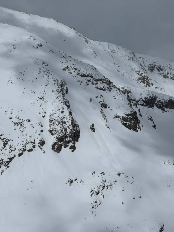 Observation photo 1