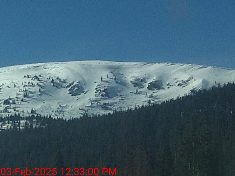Observation photo 9