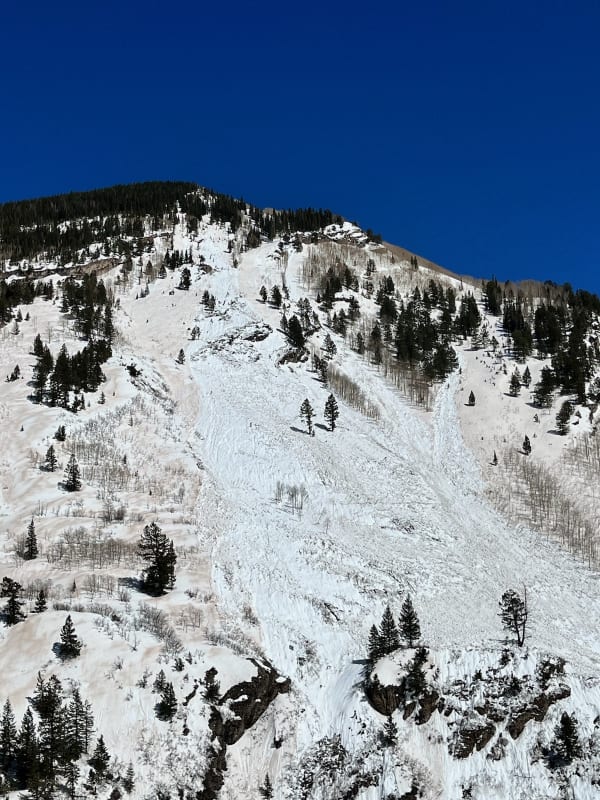 Observation photo 3