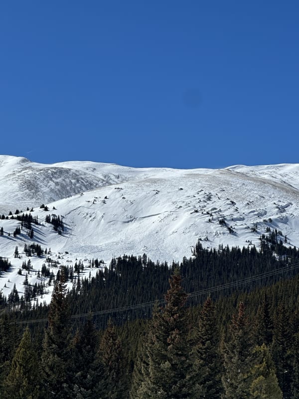 Observation photo 1