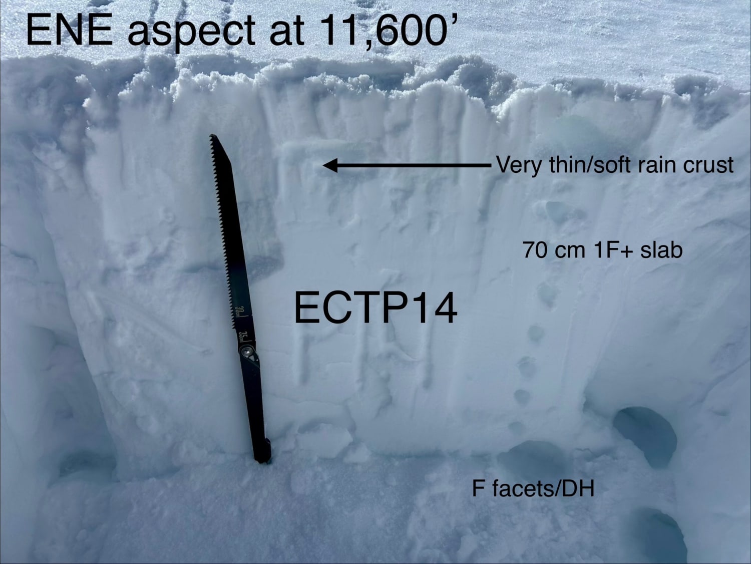 Observation photo