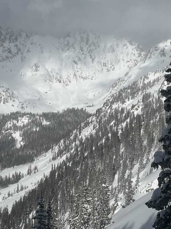 Observation photo 1