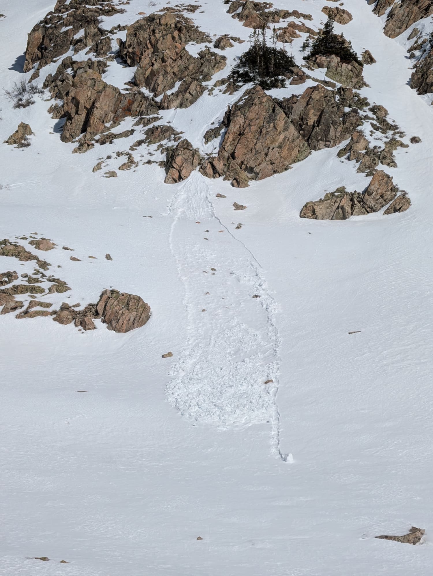 Observation photo