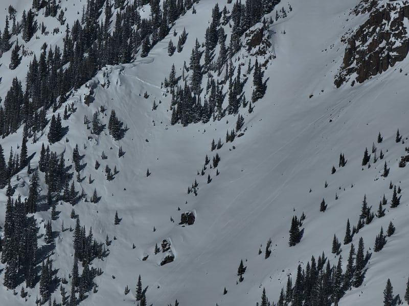 Observation photo 5