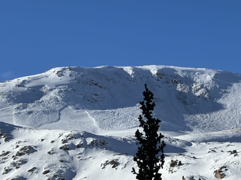 Observation photo 3