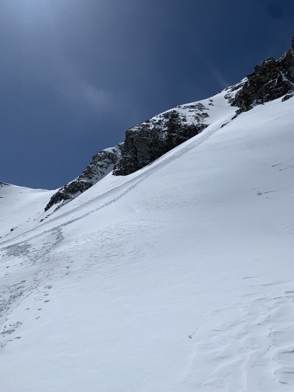Observation photo 3