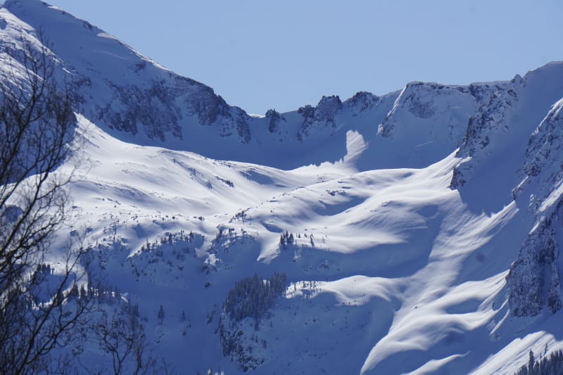 Observation photo 1