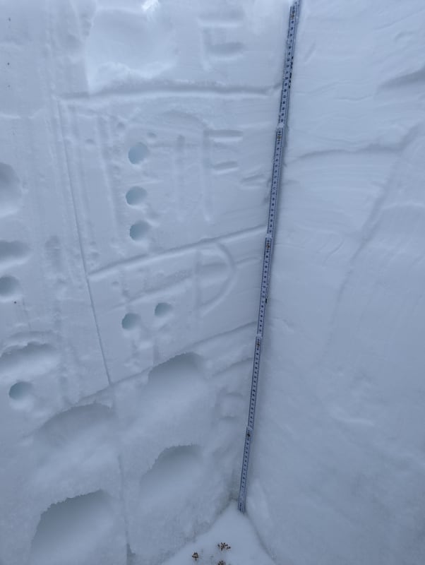 Observation photo 1