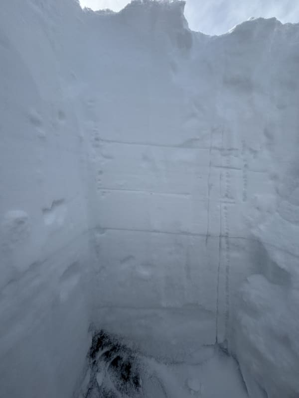 Observation photo 2