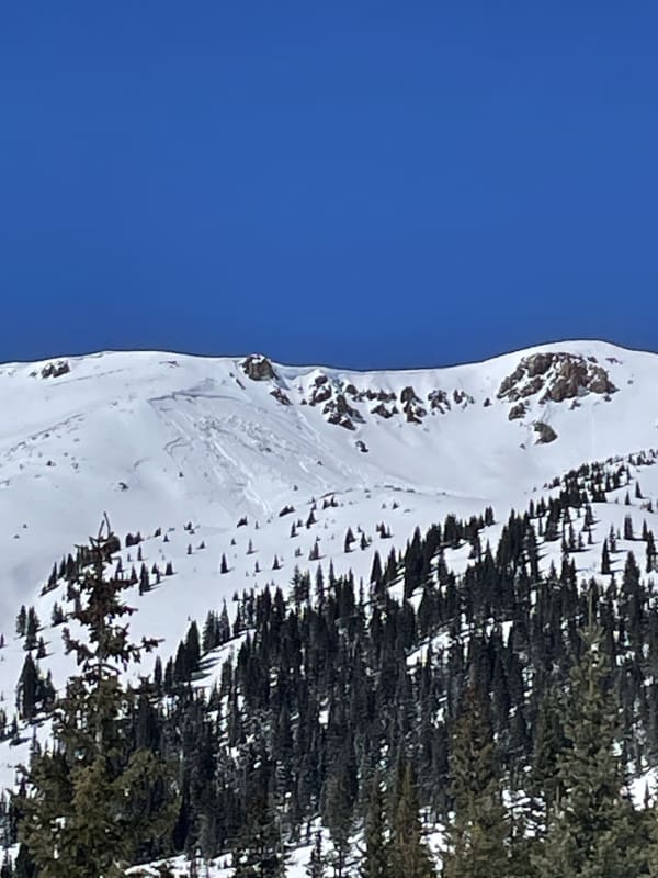 Observation photo 1