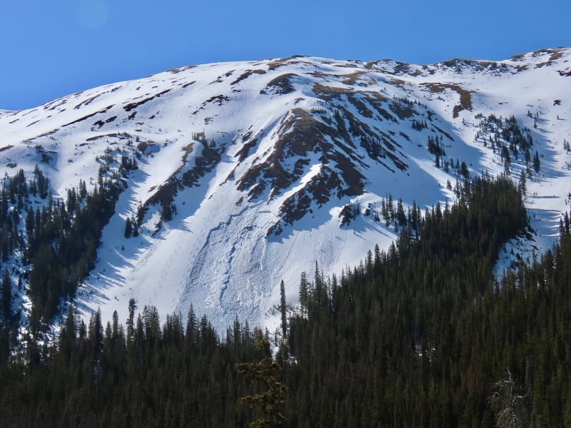 Observation photo 2
