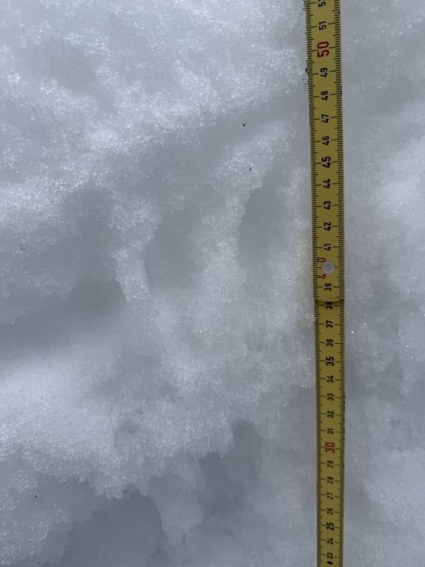 Observation photo 2