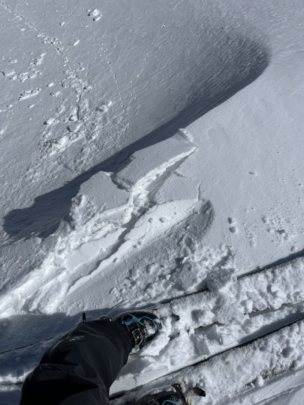 Observation photo 3