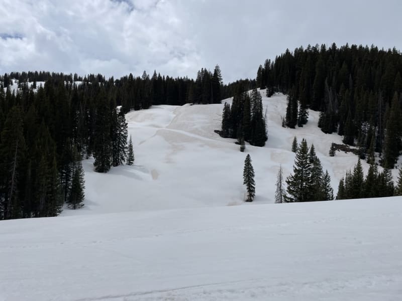 Observation photo 3
