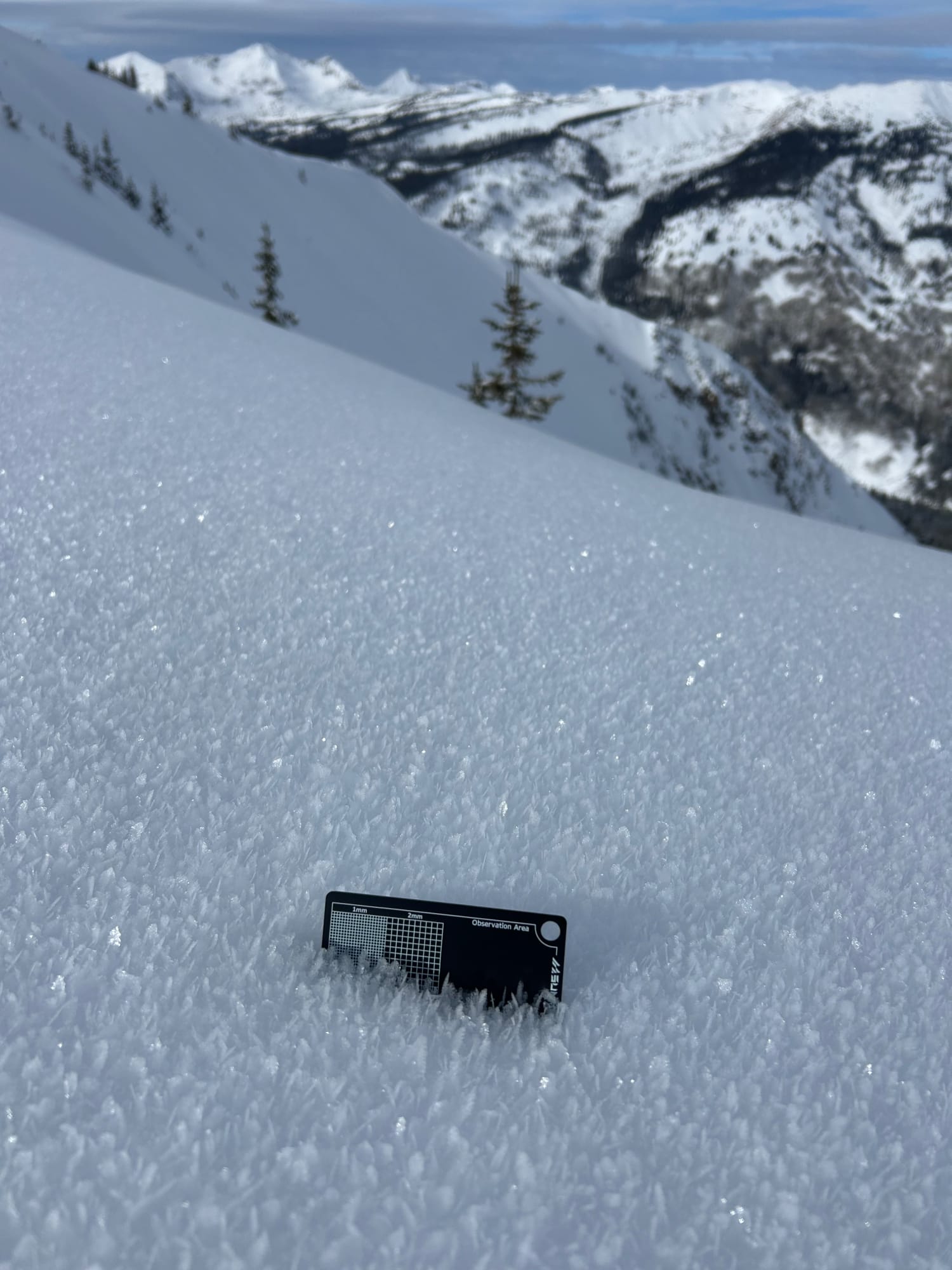 Observation photo