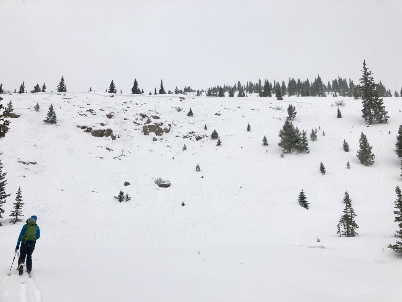 Observation photo 1