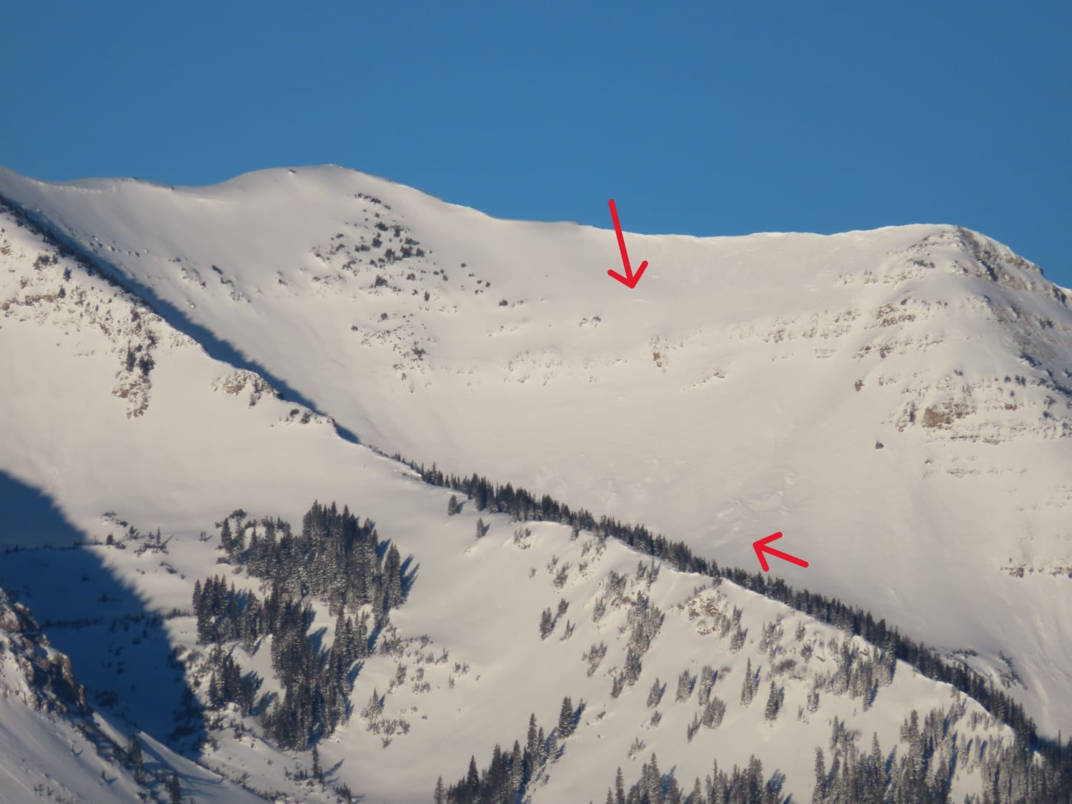 Observation photo