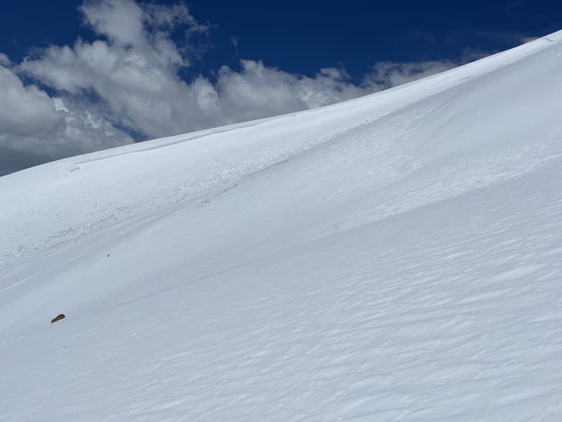 Observation photo 2