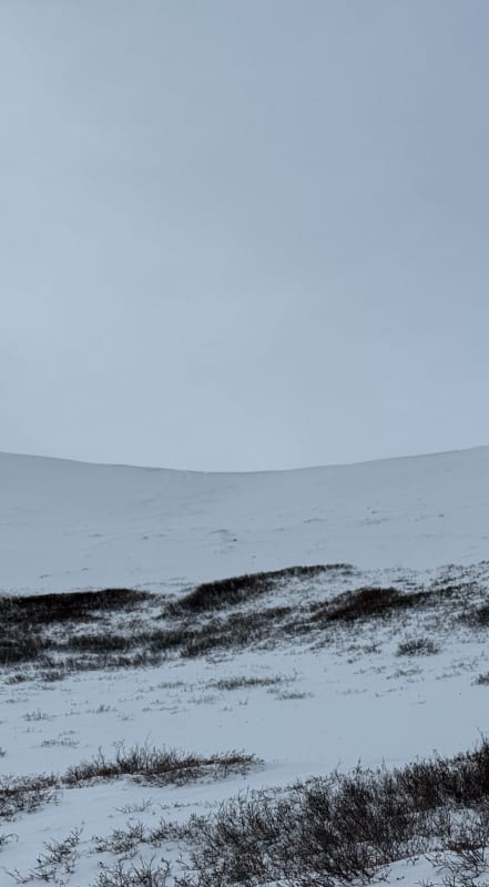 Observation photo 1