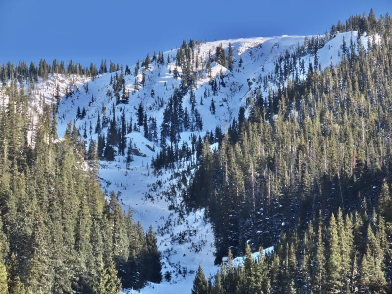 Observation photo 6