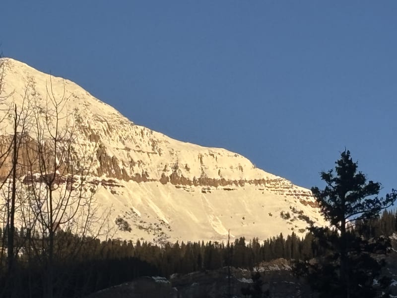 Observation photo 1