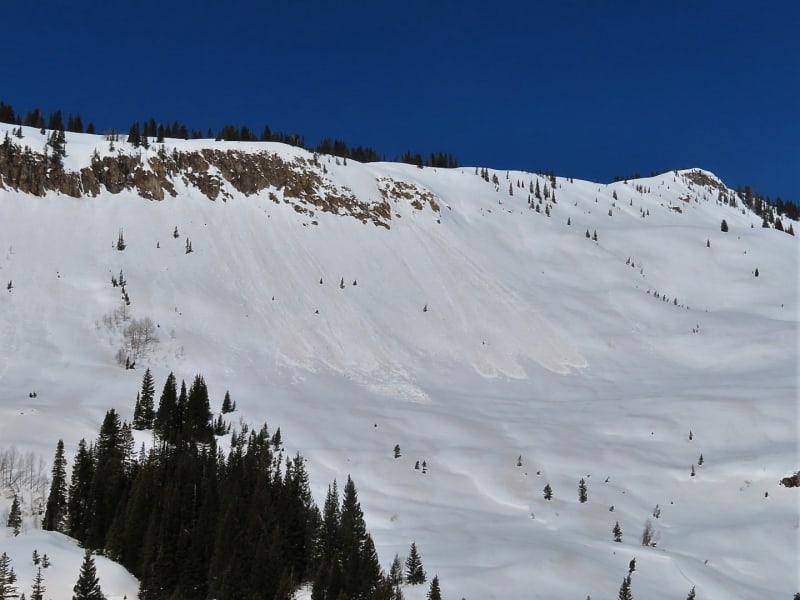 Observation photo 10