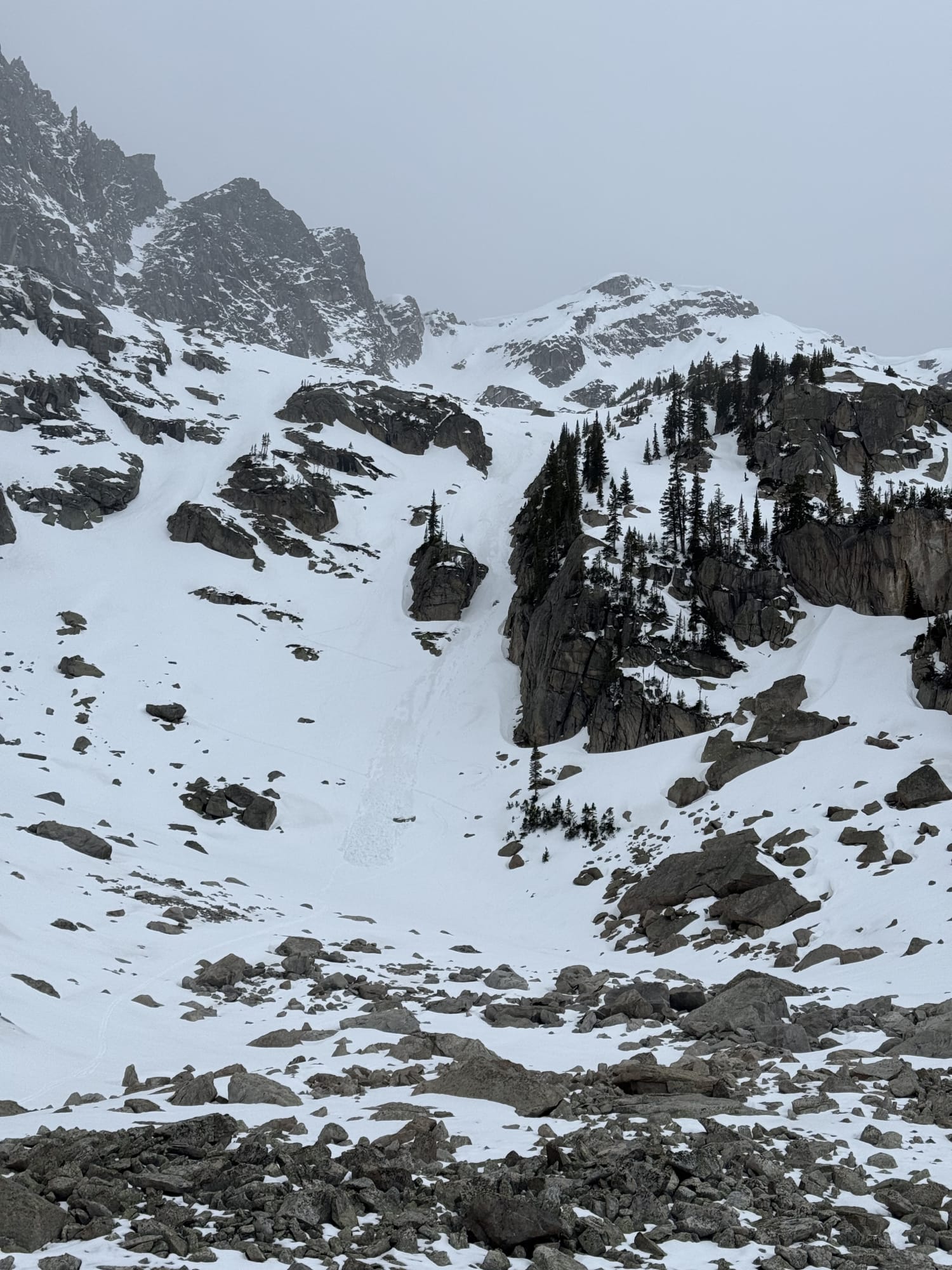 Observation photo