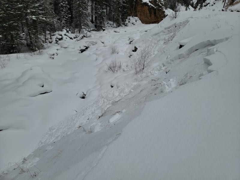Observation photo 5