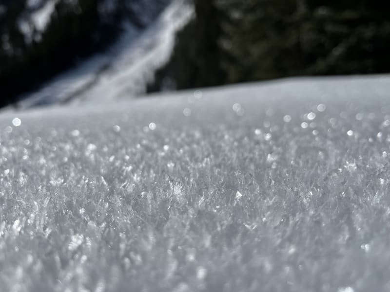 Observation photo 3