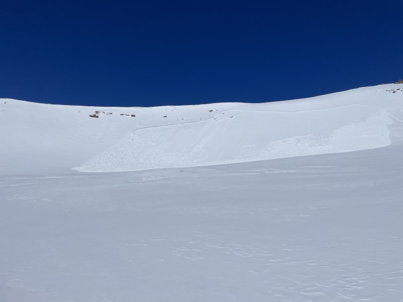 Observation photo 1