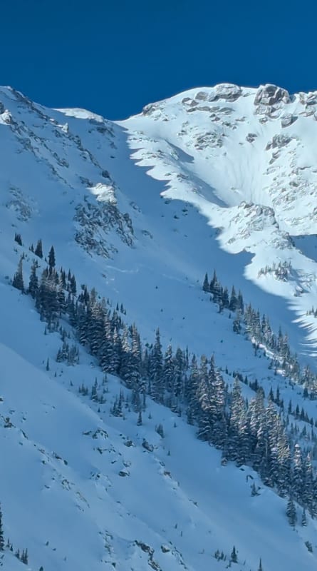 Observation photo 3