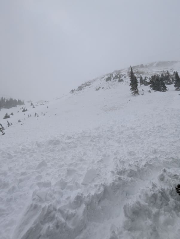 Observation photo 2