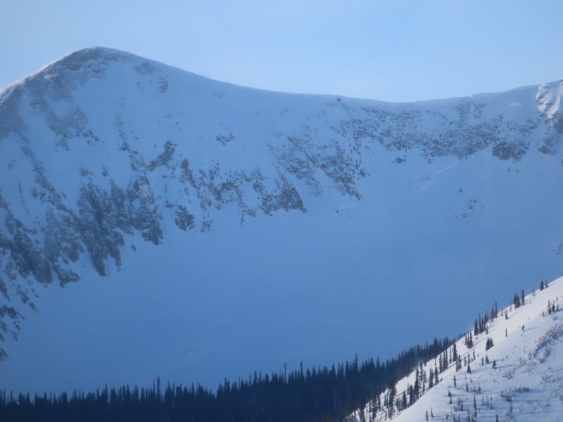 Observation photo 10