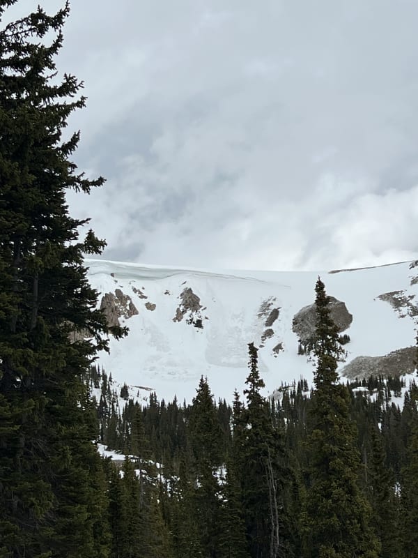 Observation photo 1
