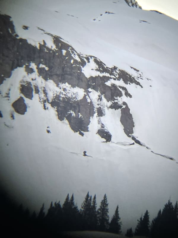 Observation photo 2