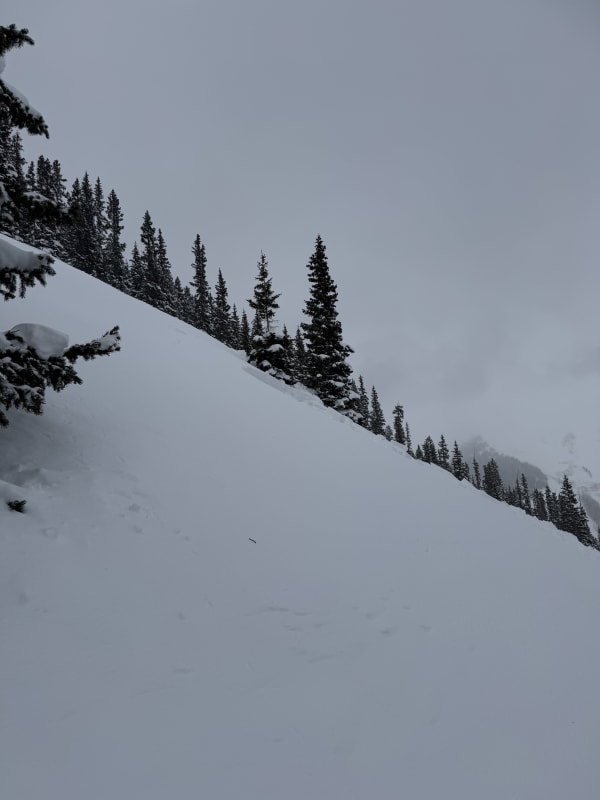 Observation photo 2