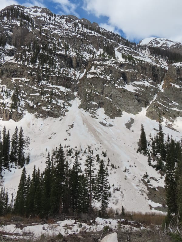 Observation photo 3
